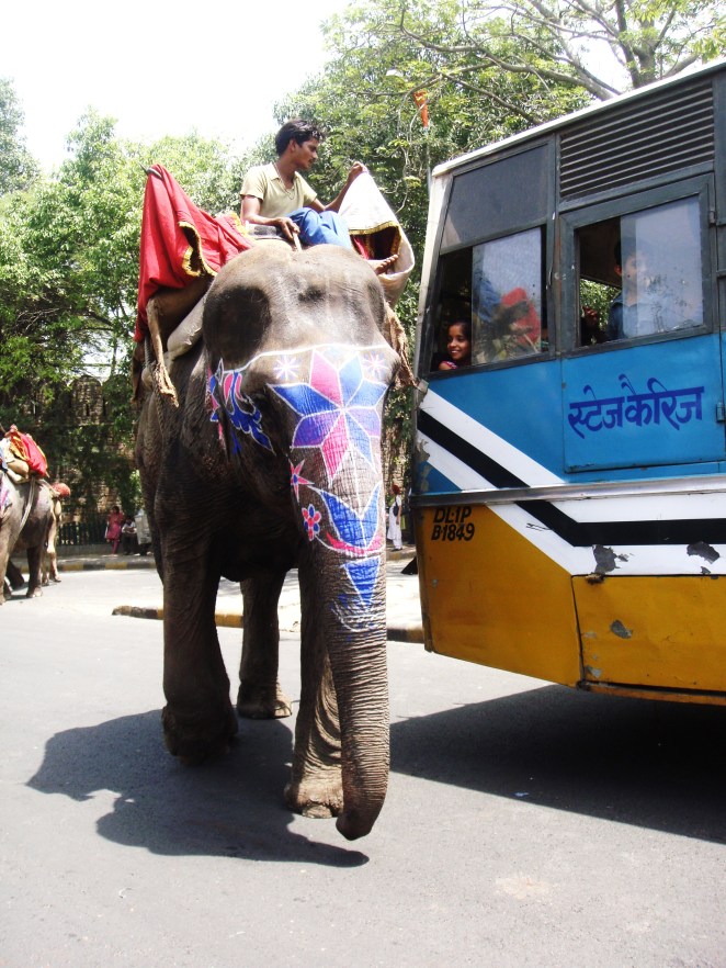 E o elefante caminha tranquilamente pelas ruas de Delhi